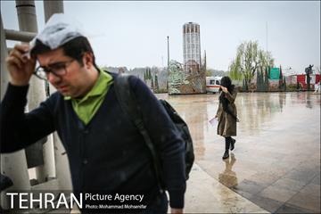 بارش باران بهاری در تهران 19