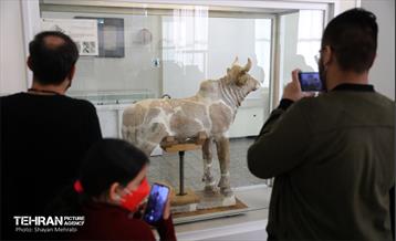 موزه ملی ایران در ایام نوروز 22