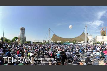 همایش پیاده روی خانوادگی کارکنان شهرداری 1