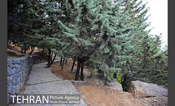 بوستان جمشیدیه 13