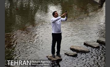 بوستان جمشیدیه در نوروز  11
