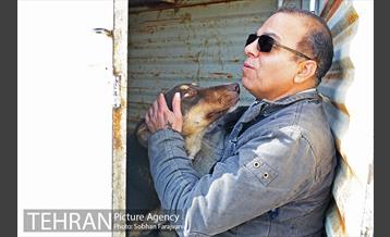 رهاسازی 150 قلاده سگ بدون صاحب  11