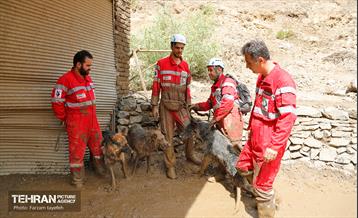تلاش نیروهای امدادی شهرداری تهران برای تخلیه مناطق سیل زده کن