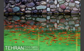 حال و هوای پایتخت در اولین روز بهار 6