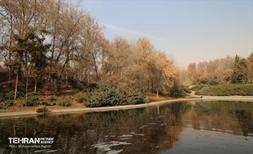 بازدید گروه های دوام مناطق از باغ گیاه شناسی ملی 15