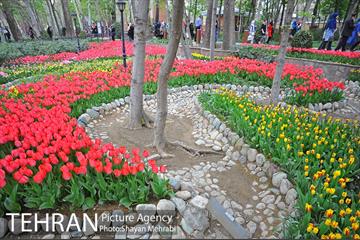 روش گل های لاله در باغ ایرانی 2