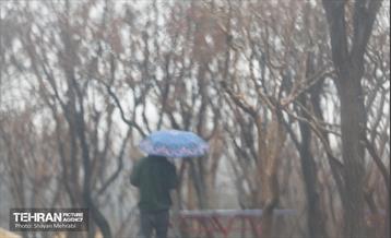 بارش باران زمستانی در تهران 22