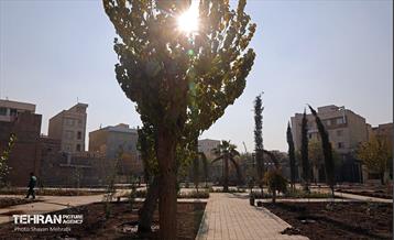 اینجا کارگاهه؛ منطقه شانزده 16