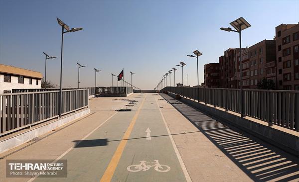 به وقت خدمت؛ باغ‌راه حضرت زهرا(س) محدوده آیت الله سعیدی 78