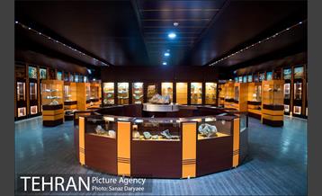 موزه علوم زمین‎ 6