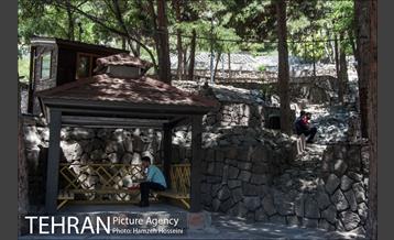 بوستان نهج البلاغه 41