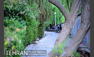 بوستان نهج البلاغه (فاز١) 19