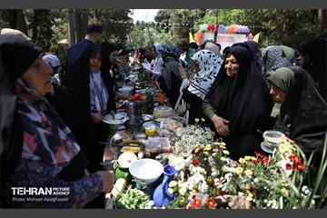 جشنواره غذای سالم 15