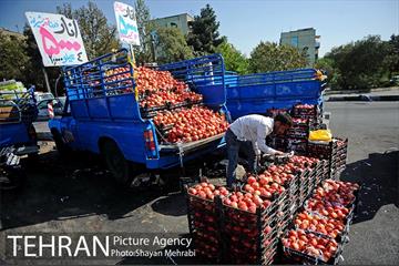 میوه فروشان خیابانی 4