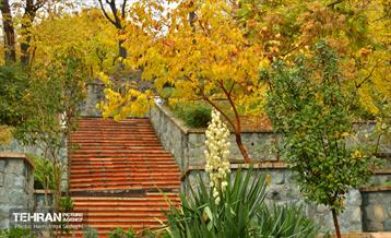 هوای پاییزی پایتخت 1