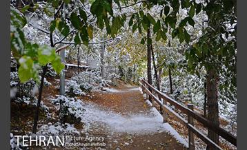 بارش برف پاییزی در بوستان طالقانی 38