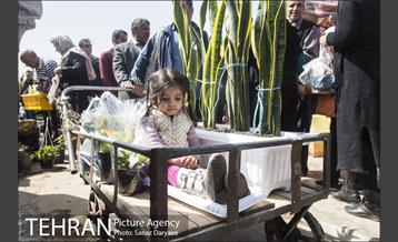 بازار گل شهید محلاتی 5