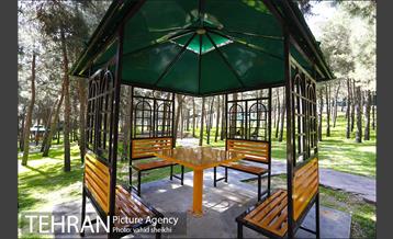 آیین افتتاح و بهره برداری از بوستان مرضیه حدیدچی دباغ  39