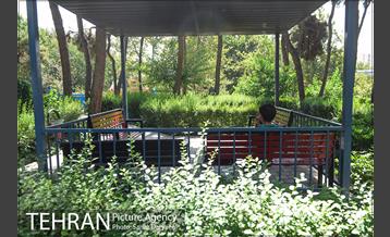 بوستان رسالت 13