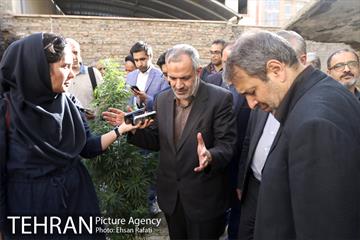 بازدید دکتر مسجدجامعی از مقبره ملک المتکلمین و صوراسرافیل  18