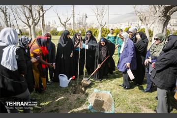 آیین درختکاری در منطقه‌5 16