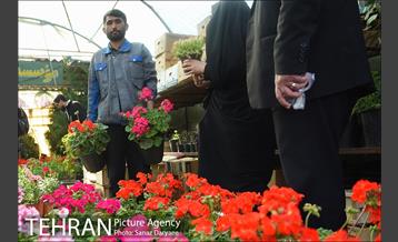 بازار گل شهید محلاتی در آستانه نوروز 7