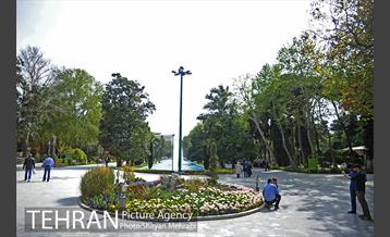 رویش گل های لاله در پارک شهر 1