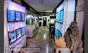 آکواریوم پارک شهر 13