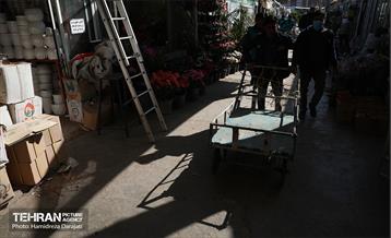 بازار گل محلاتی  26