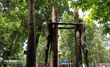 جان دوباره در درختستان 4