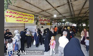 جشنواره شاتوت و محصولات محلی دهستان سولقان 12