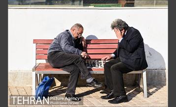 پارک ساعی 17