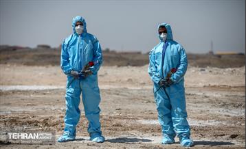 نگاهی به پروژه های سازمان مدیریت پسماند شهرداری تهران 19