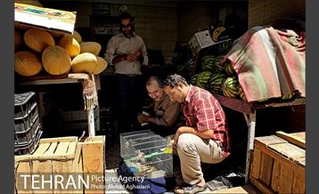 بازارچه معیر 22