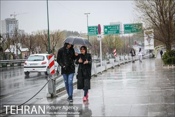 بارش باران بهاری در تهران 18