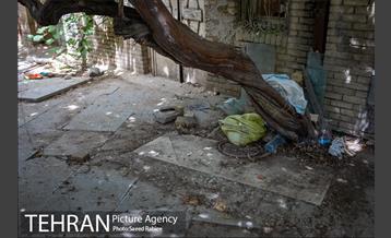 گورستانی به قدمت تاریخ 6