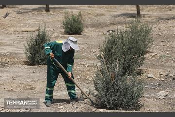 اینجا کارگاهه؛ پروژه بام ری 32