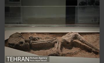 موزه ایران باستان 23