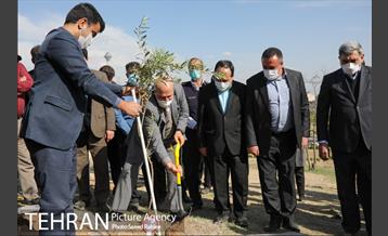 مراسم درختکاری در بوستان پردیسان 14