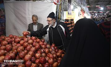 یازدهمین جشنواره صد دانه یاقوت 18