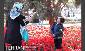 جشنواره لاله‌ها در بوستان زندگی محله هرندی 4