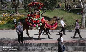 روز طبیعت در بوستان ملت 9