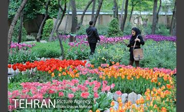 باغ ایراتی (بوستان مهندس مختاری) 9