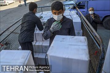 ارسال کمک های شهرداری تهران برای مردم زلزله زده سی سخت 10