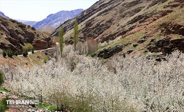 طبیعت بهاری روستای سنگان 29