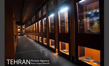 موزه علوم زمین 13