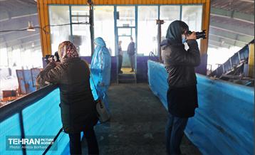 تور بازدید عکاسان از مجتمع آرادکوه 11