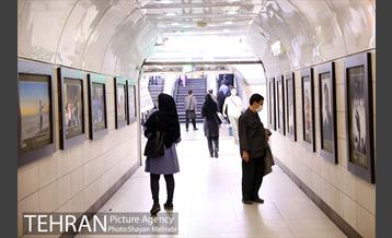 نمایشگاه عکس زندگی افراد مبتلا به سندروم داون 22