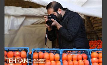 نخستین جشنواره خرمالو در روستای کشار سفلی 11