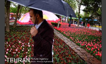 جشنواره لاله‌ها در بوستان زندگی محله هرندی 12